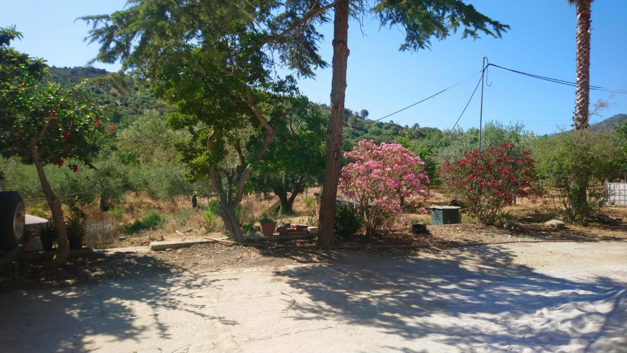 Linati'S Apartments Pollina Εξωτερικό φωτογραφία