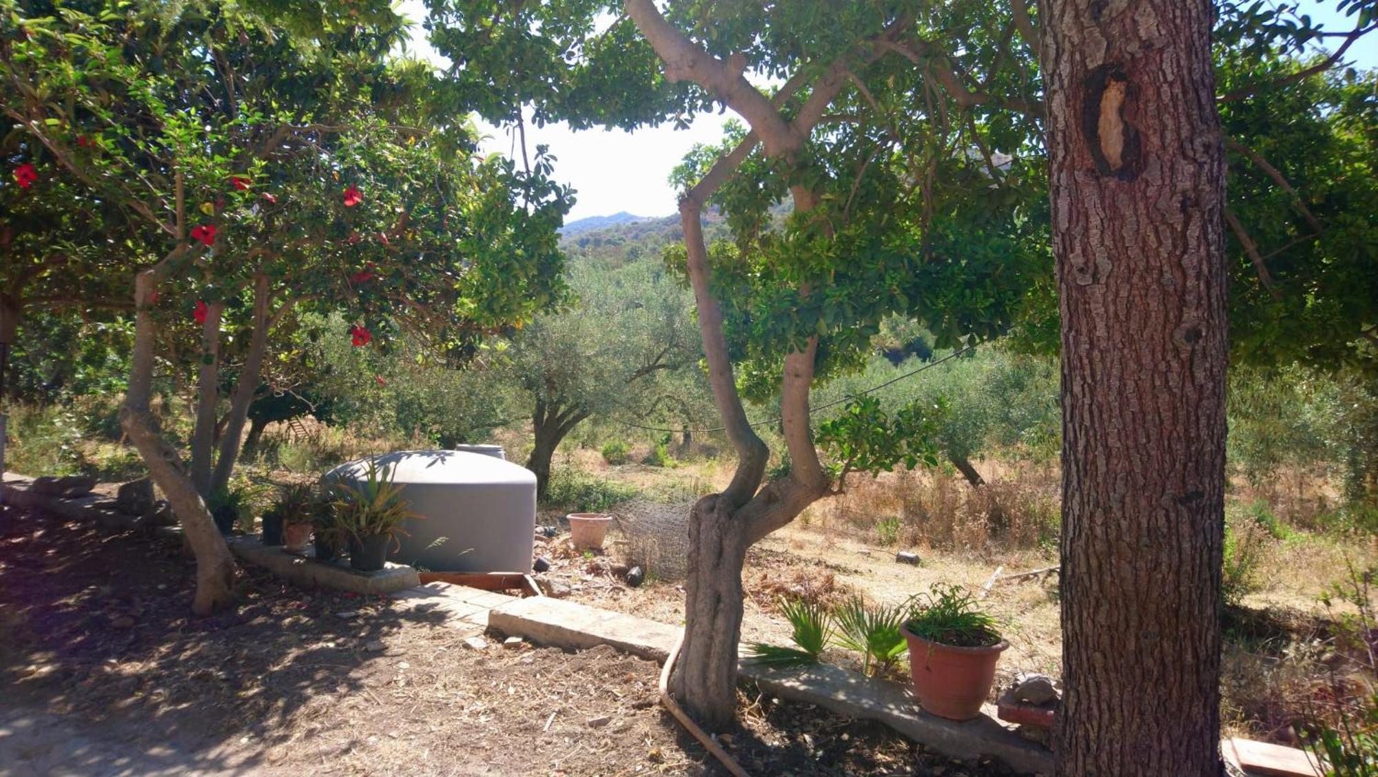 Linati'S Apartments Pollina Εξωτερικό φωτογραφία